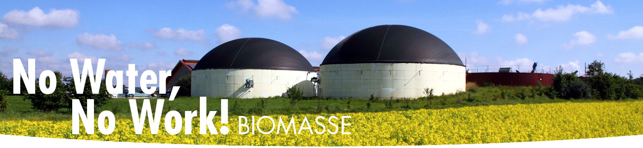 Impianti a Biomasse